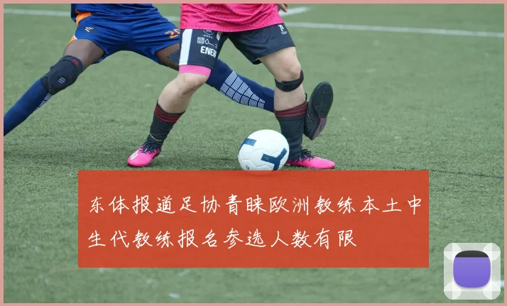 东体报道足协青睐欧洲教练本土中生代教练报名参选人数有限